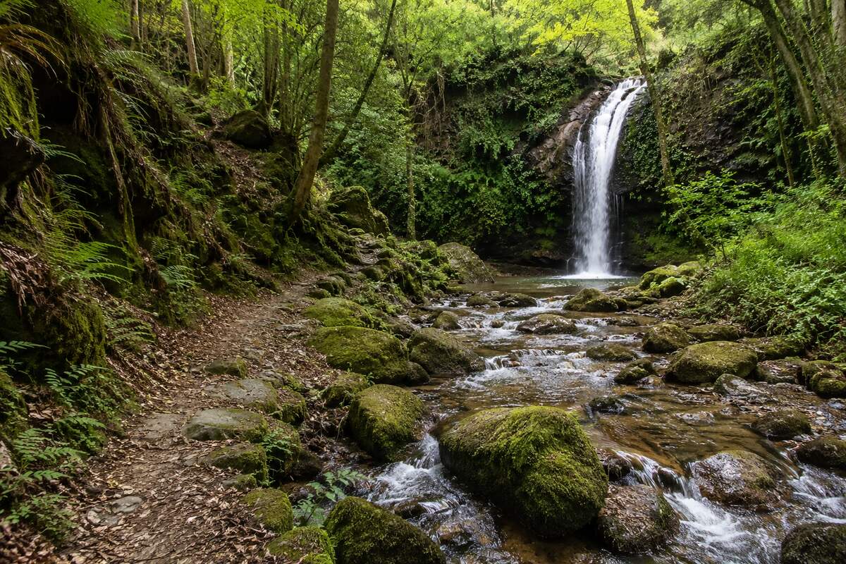 Valle del Pas · Cascadas y naturaleza